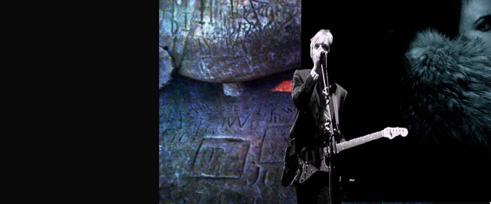 book of voices banner copy